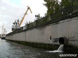 Greenpeace       