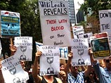         WikiLeaks  .          
