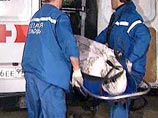 Труп человека год пролежал в подсобном техническом помещении пешеходного перехода на МКАДе, сообщил источник в правоохранительных органах в пятницу