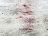 В Приморском крае возбуждено уголовное дело по факту убийства 47-летнего жителя Владивостока