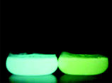       ,     - ,     Vibrio fischeri