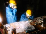  TEPCO,  "-1", 23  2011 