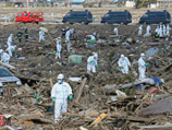 - TEPCO      ,     ,   