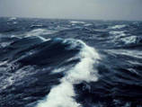      .  ,  "Albatros-610",    ,       