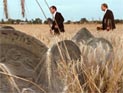 В Нью-Йорке прошла премьера скандального фильма польского режиссера о массовом убийстве евреев поляками В Нью-Йорке прошла премьера скандального фильма польского режиссера о массовом убийстве евреев поляками