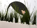 Итальянцы снимут римейк комедии о возвращении Гитлера, заменив его на Муссолини Итальянцы снимут римейк комедии о возвращении Гитлера, заменив его на Муссолини