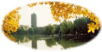  .     www.pku.edu.cn 