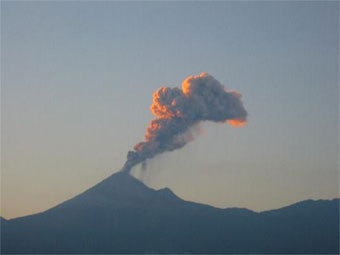  ,    mexicoinvestigations.com