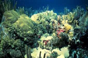  ,    sero.nmfs.noaa.gov