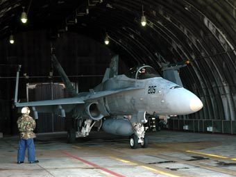 Истребитель F/A-18 Hornet. Фото с официального сайта ВВС США