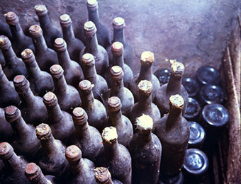 Фото сайта www.naai.moldova.md