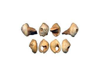 -   .    livescience.com