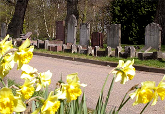    ,    greenflagaward.org.uk