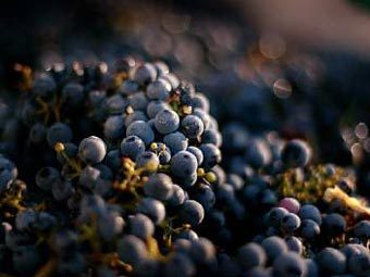 ����������� �������. ���� Reuters