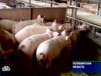 ����������. ���� ���������� ��� 