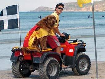     .    penwith.gov.uk