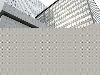 - Mizuho Financial Group.  AFP