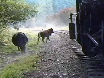    www.goldenrailvideo.com