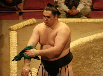  .    japan-sumo.ru