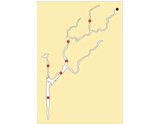   "",    Gubahaperm.