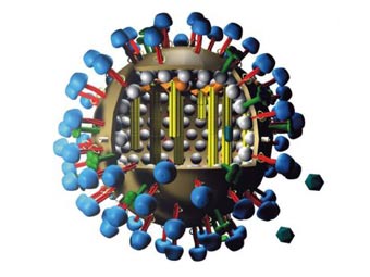    A/H1N1.  M. Eckmann   wikipedia.org