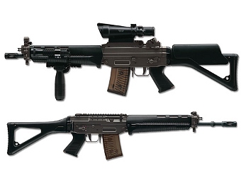  SG 551 SWAT  Swiss Arms.  