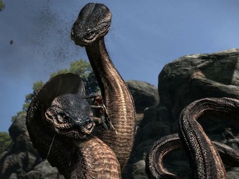    Dragon's Dogma