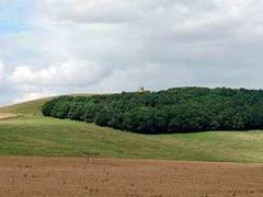 Шотландские земли, фото с сайта scottish-walks.co.uk