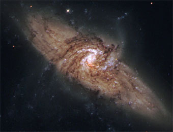     .    hubblesite.org